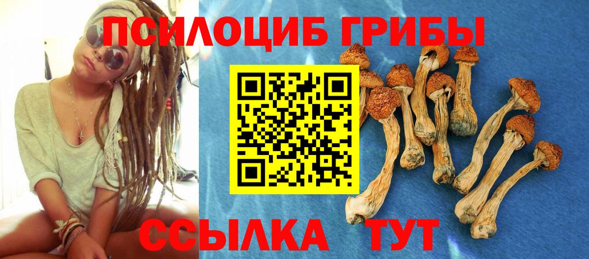 Псилоцибиновые грибы GOLDEN TEACHER Канаш